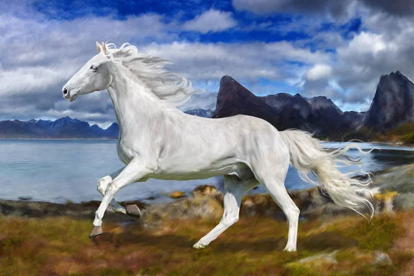 A white horse — Stock Photo, Image