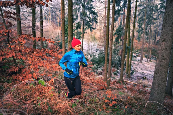 Courir dans la forêt hivernale — Photo