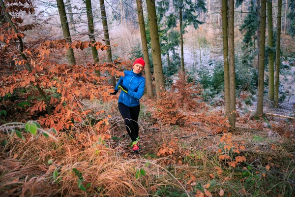 Running in the wintry forest — Stock Photo, Image