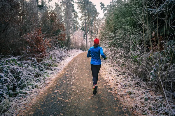 Uitgevoerd in het winterse-forest — Stockfoto