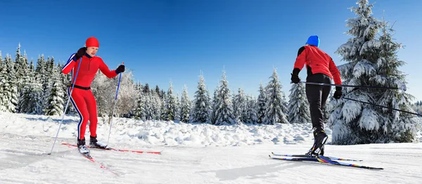 Ski de fond — Photo