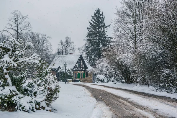 Gammel park i sne - Stock-foto