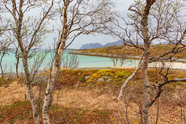 A Senja-sziget Norvégiában — Stock Fotó