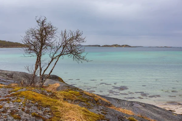L'isola Senja in Norvegia — Foto Stock