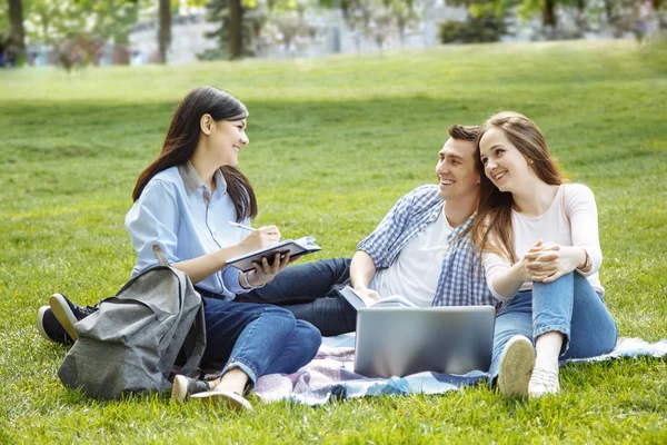 Kampüs çim üzerinde fikir paylaşımı öğrenci grubu.