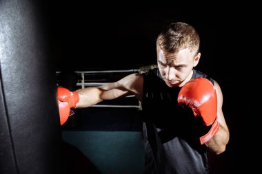 Erkek boxer boks torbasına yumruk stüdyo çekim