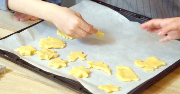 Close Female Children Hands Putting Homemade Cookies Baking Tray Kitchen — Stock Video