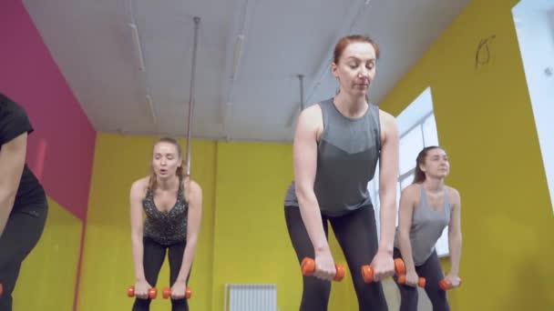 Spor Salonunda Dambıllarla Çalışan Bir Grup Genç Kadın Sağlıklı Yaşam — Stok video
