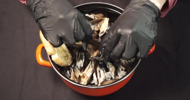 Gros Plan Sur Les Moules Sauce Crème Dans Une Casserole — Video