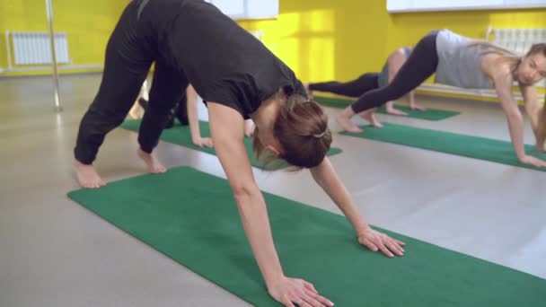 Yoga Sınıfındaki Eğitmenle Esneme Dersleri Alan Bir Grup Sağlıklı Genç — Stok video