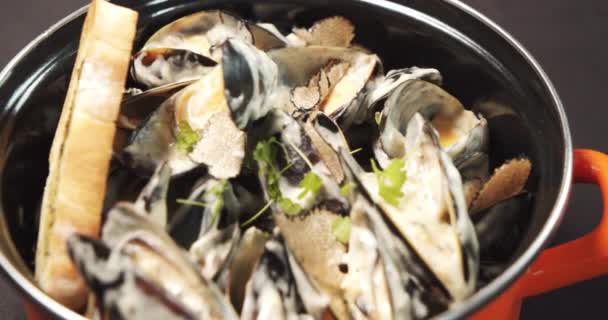 プレート内のハーブとクリーミーなソースでおいしいムール貝の閉鎖 — ストック動画