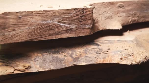 关闭一家家具厂的锯木圆木 木材质地 — 图库视频影像