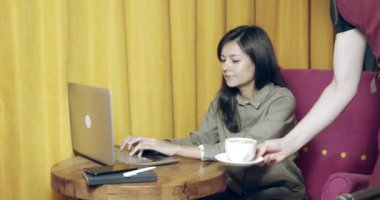 Kahve dükkanında dizüstü bilgisayarla çalışan genç bir iş kadını. Erkek garson kafe veya restoranda bayan müşteriye sıcak kapuçino ikram ediyor.