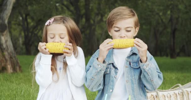 两个可爱的男孩和女孩在公园野餐时吃煮熟的玉米芯 — 图库视频影像