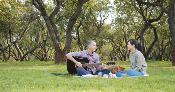 Щаслива Пара Гітарою Відпочиває Пікніку Парку Газоні Романтика Канікули Літня — стокове відео