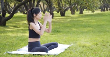 Genç bir kadın parkta Lotus pozisyonunda yoga meditasyonu yapıyor. Uyum ve sağlıklı yaşam tarzı kavramı.