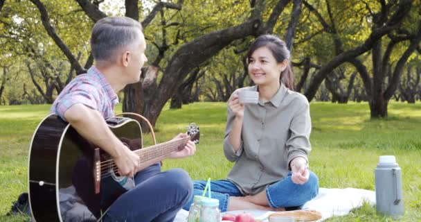 Szczęśliwa Para Gitarą Odpoczywająca Pikniku Parku Trawniku Romantyczne Wakacyjne Letnie — Wideo stockowe