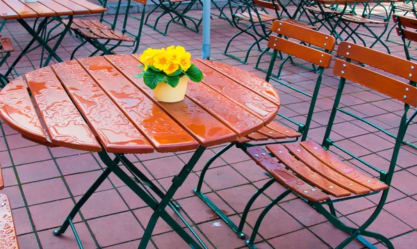 Flor Amarilla Frasco Mesa Del Restaurante Después Lluvia —  Fotos de Stock