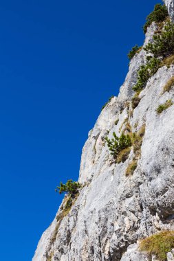 Mavi gökyüzü yukarıdaki ile taş taş yakın çekim. Dikey