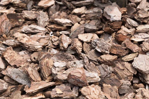 Kahverengi ahşap talaşı, ahşap kırıntıları