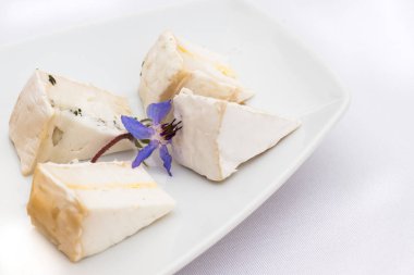 Peynir tabağı farklı çiçekler ile peynir çeşitleri ile. Kalıp, camembert, appenzeller peynir, brie peyniri.