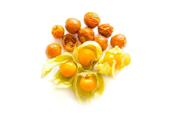 신선한 Physalis 그림자와 바탕에 합니다 동결입니다 비행사에 — 스톡 사진