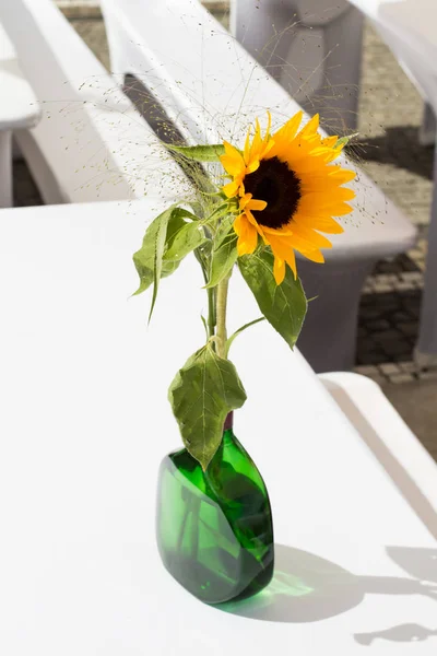 Sonnenblumen Topf Auf Dem Tisch Einer Grünen Vase — Stockfoto