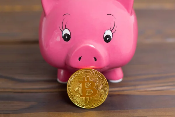 Pink piggy bank with one gold bitcoin coin new virtual money on a dark brown wooden background. Pig holds a coin in his mouth