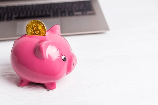 Golden bitcoin on the piggy bank money box with a computer on background. Cryptocurrency investment concept. Virtual money. Web banking, network payment