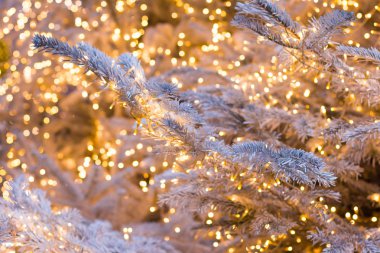 Altın parlayan çelenk, Noel arka plan ile gümüş Noel ağacı.