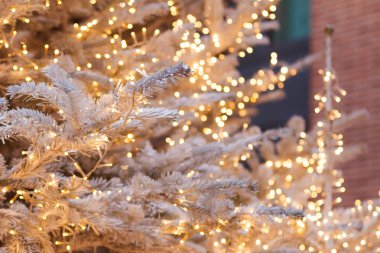 Altın parlayan çelenk ile gümüş Noel ağacı