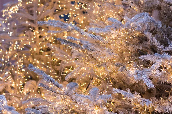 Árbol de Navidad de plata con guirnaldas doradas — Foto de Stock