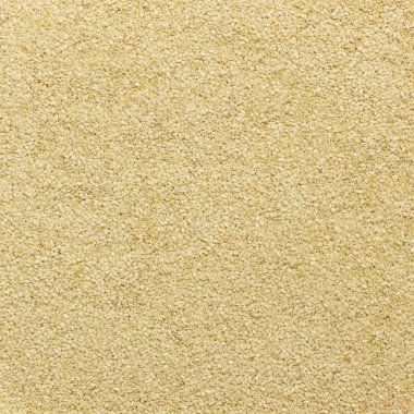 Susam bir sürü closeup