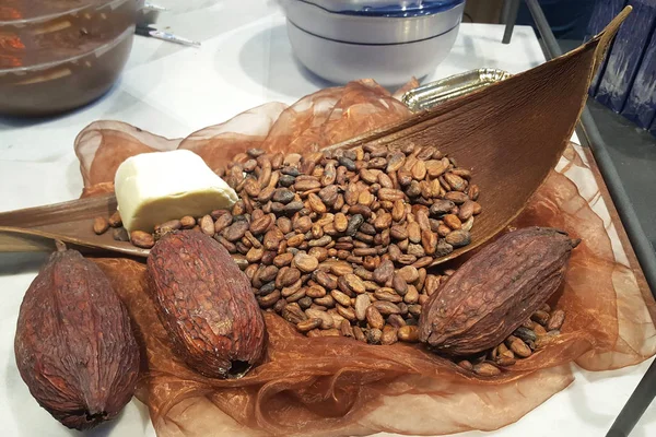 丸ごと完熟カカオの果実と種子の自家製チョコレートのテイスティングします モバイル写真 — ストック写真