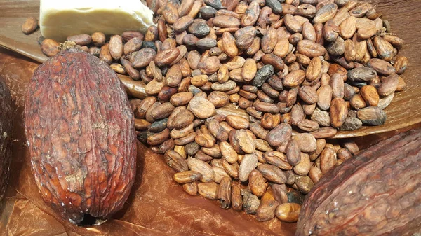 丸ごと完熟カカオの果実と種子の自家製チョコレートのテイスティングします モバイル写真 — ストック写真