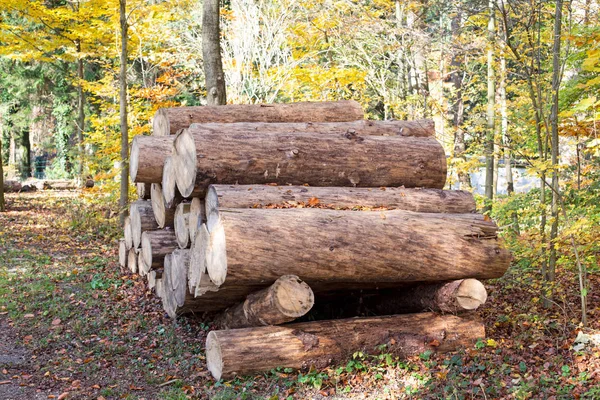 Trästockar Tallskog Skogen Nyhackade Trädstockar Staplade Ovanpå Varandra Hög — Stockfoto