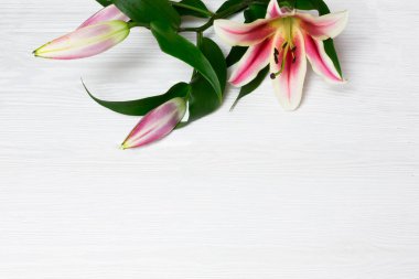 Ahşap arka plan, metin için yer ile güzel pembe sarı beyaz zambak çiçekler