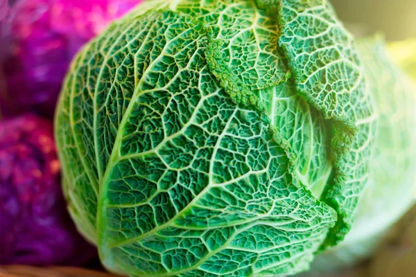 Savoy cabbage super food close up against the background purple cabbage