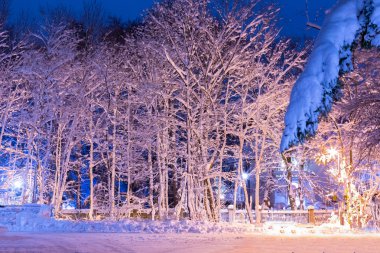 Kar yağan kış akşamı manzarası
