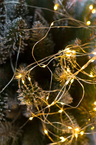 Çelenklerle süslenmiş duvar dokusu ve yeşil çam ağacı köknar dalları, Noel dekorasyonları arka plan, dikey