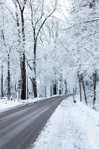 Donmuş ağaçlı kış yolu, dikey