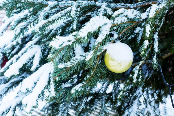 Gul julboll på en snöig julgran utomhus på vintern. Vacker delikat bakgrund för nyårsbilder. — Stockfoto