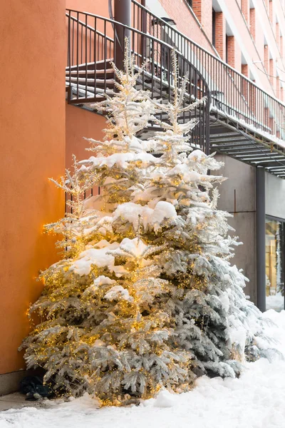 Κομψά χριστουγεννιάτικα δέντρα με χρυσά φώτα στο ευρωπαϊκό κέντρο της πόλης Μόναχο, Γερμανία. Αγορά διακοπών στο δρόμο της πόλης. Χώρος για κείμενο. Μεγάλα χριστουγεννιάτικα δέντρα — Φωτογραφία Αρχείου