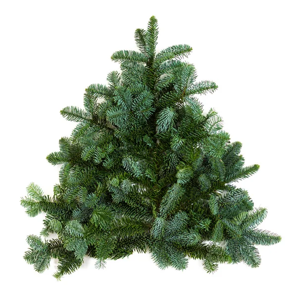 İzole edilmiş dallardan yapılmış küçük Noel ağacı