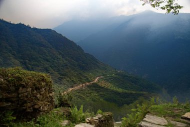 Teraslar Annapurna koruma bölgesinde Nepal