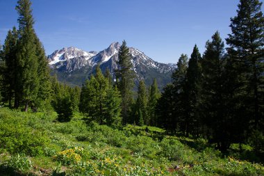 Görünüm Mcgown Peak yakınındaki Stanley, Idaho Elk dağ yolundan Sawtooth dağlarda