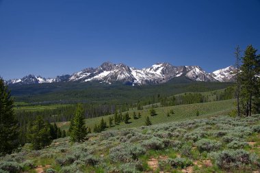 Nip ve Tuck Road, Stanley, Idaho yakınındaki Sawtooth dağlardan görünümünü