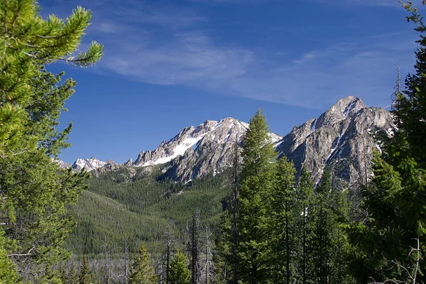 Vista Del Pico Mcgown Las Montañas Sawtooth Desde Elk Mountain — Foto de Stock