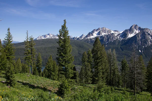 Blick Auf Mcdress Peak Sägtooth Mountains Von Der Elk Mountain — Stockfoto