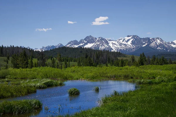 Stanley, Idaho Sawtooth dağlar ve kır çiçekleri Fr653 gelen yakınındaki